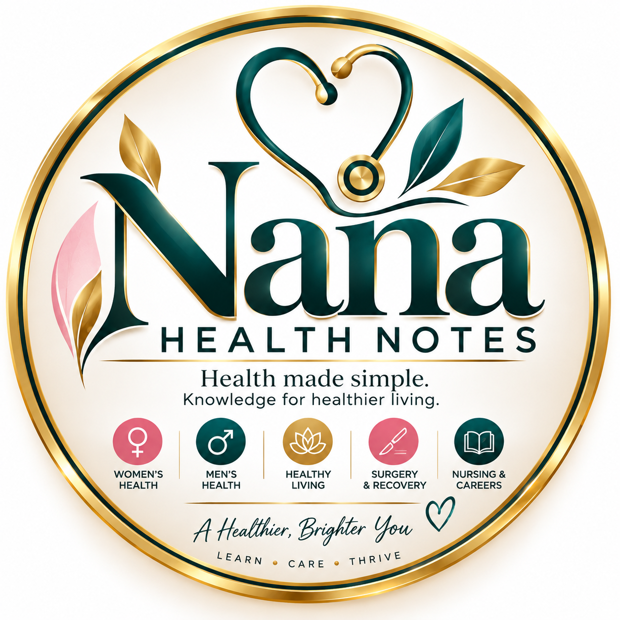 Nana Health Notes logo